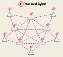 Hybrid Star - Mesh Network in Structure of a Wireless Sensor Network